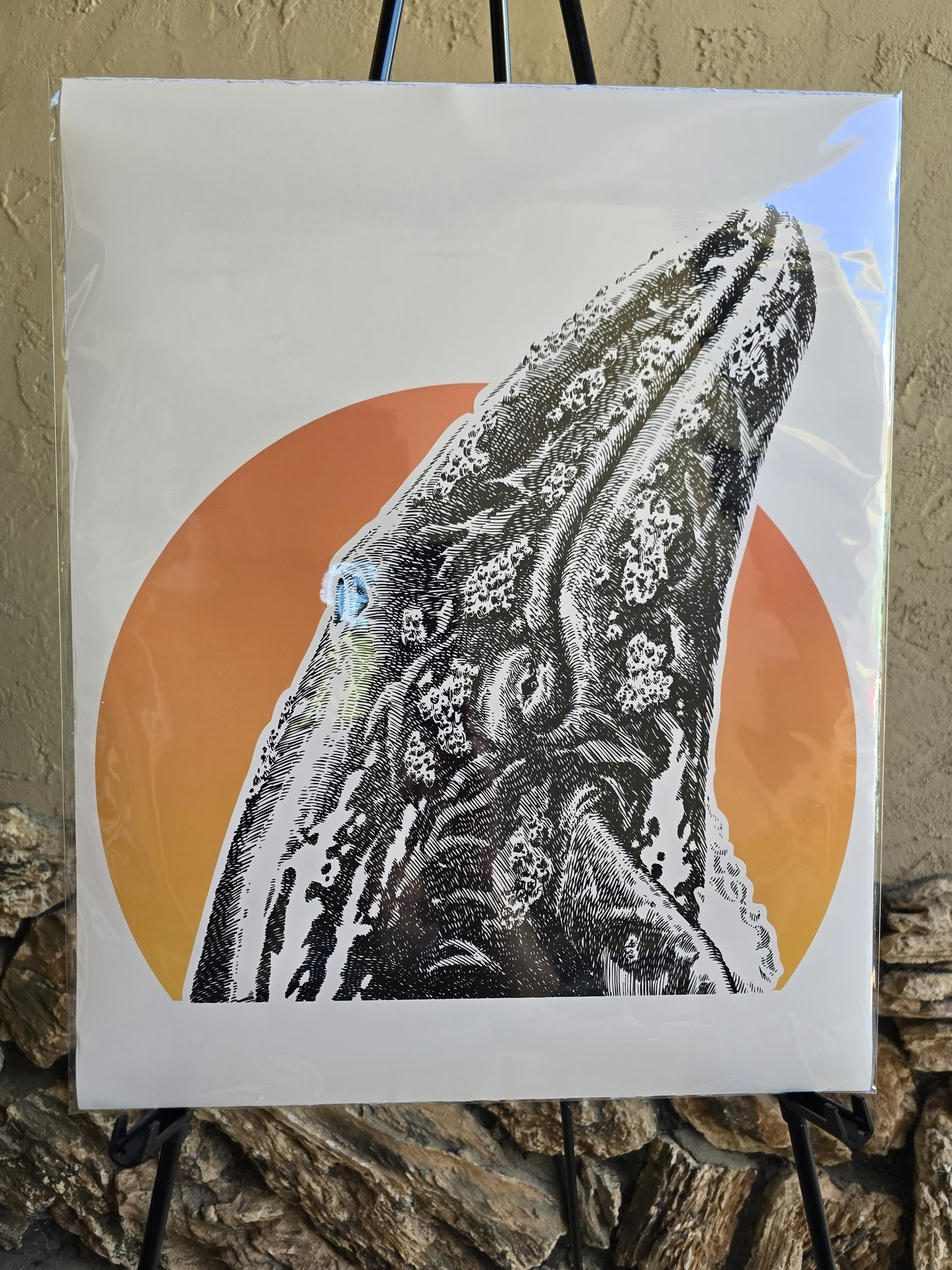 Sunset Breaching Whale Logo, Fine Art Poster