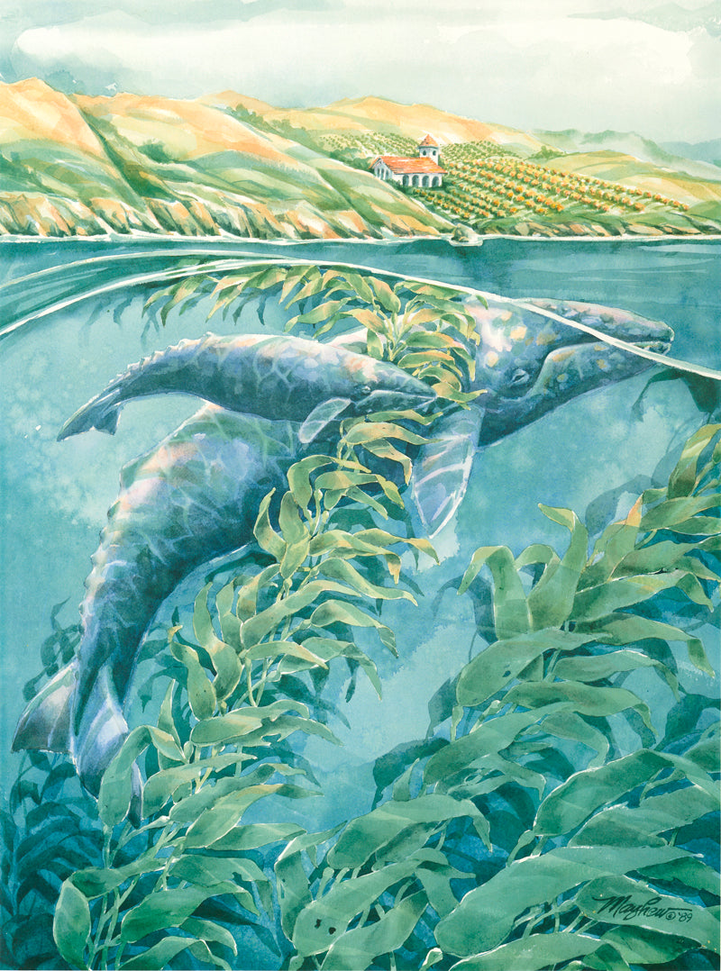 "Crusing The Coast" Original, Vintage, Lithographic Print