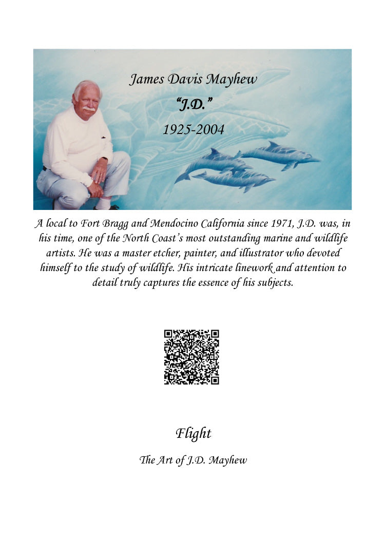 "Flight" Blank Greeting Card, white, set of 6