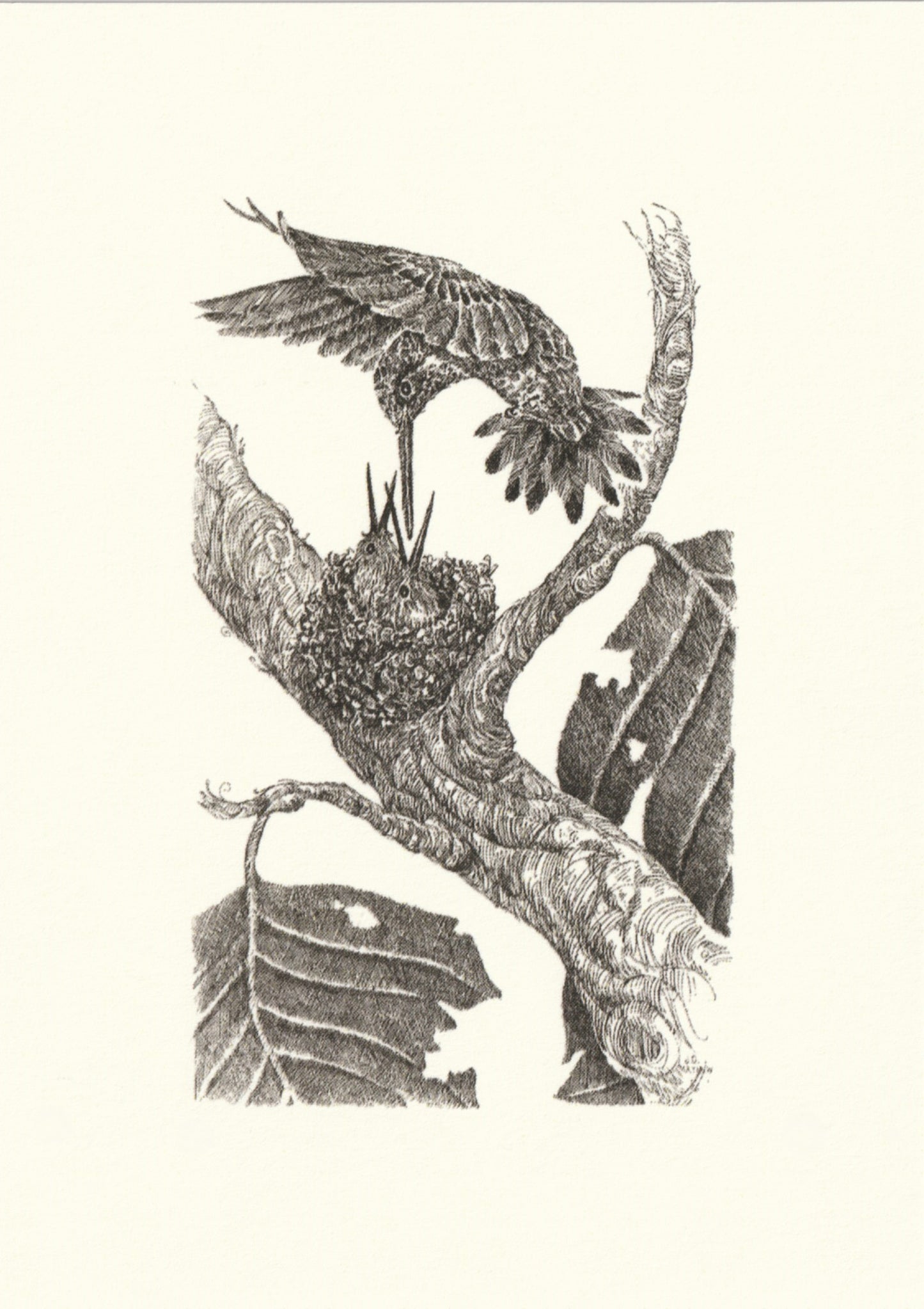 "The Bill Collectors" Blank Greeting Card, cream, set of 6