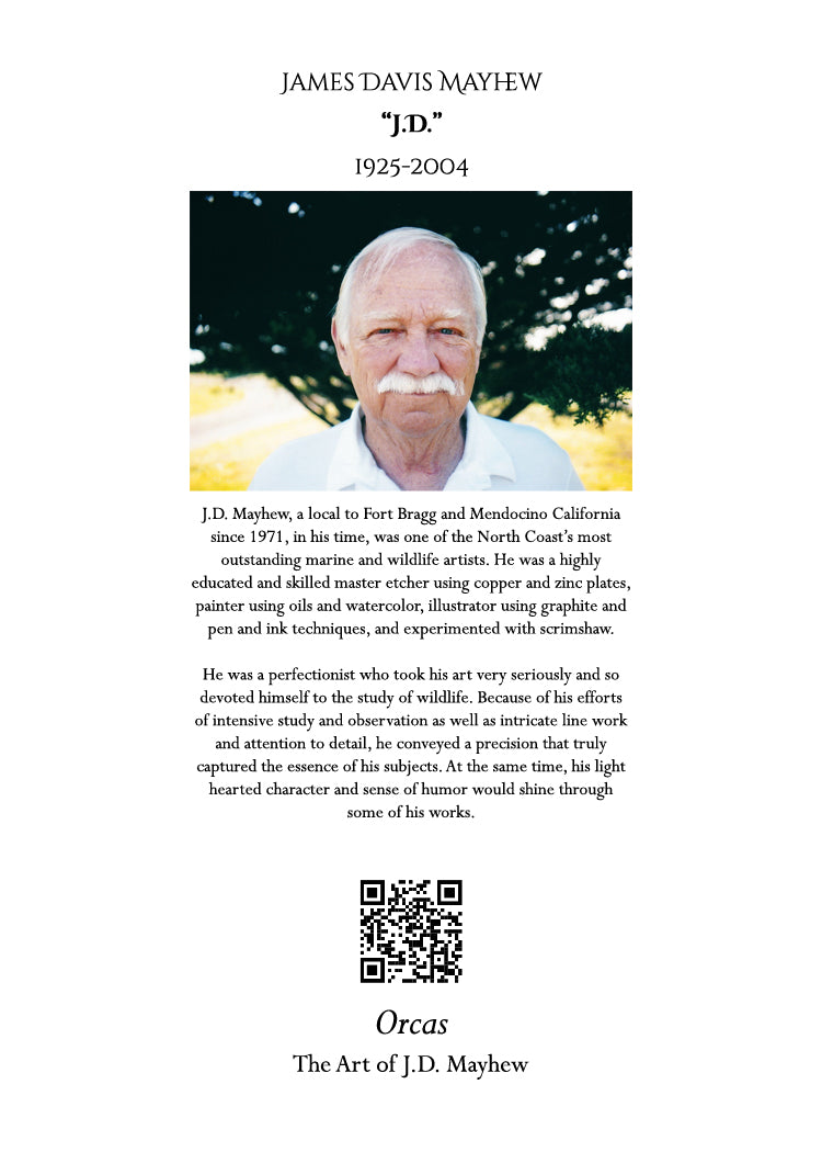 "Orcas" Blank Greeting Card, white, set of 6