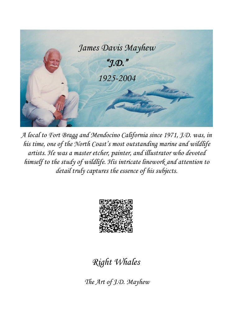 "Right Whales" Blank Greeting Card, white, set of 6