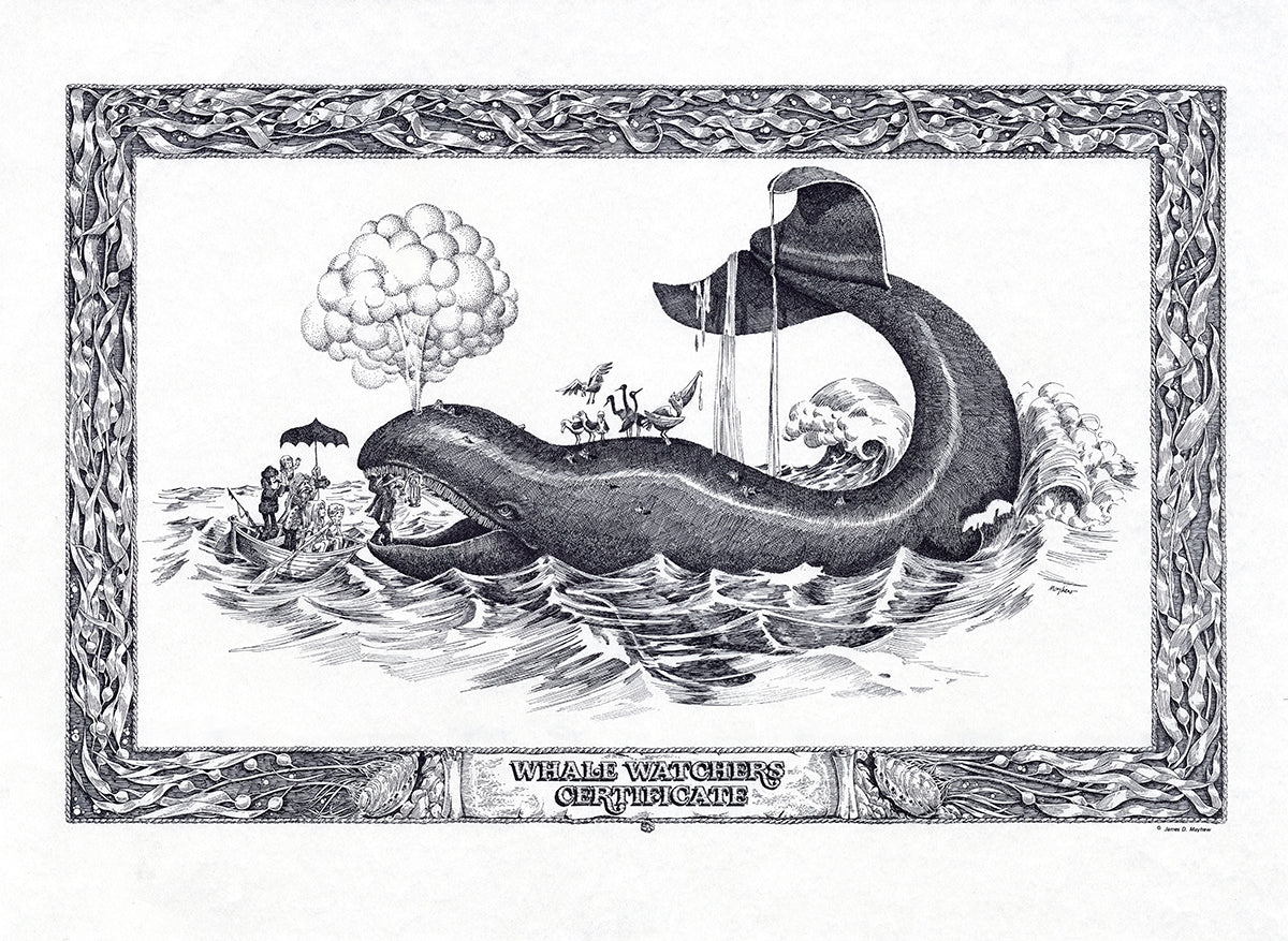 "Whale Watcher's Certificate" Fine Art Poster