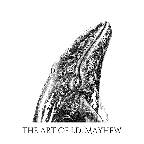 The Art of J.D. Mayhew