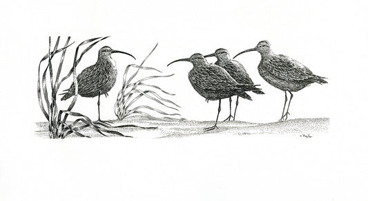 "Curlews" Giclée Print