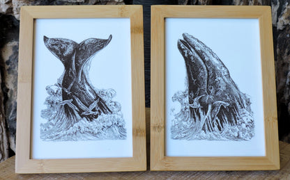 "Breaching and Sounding" Framed, Giclée Mini Print Set