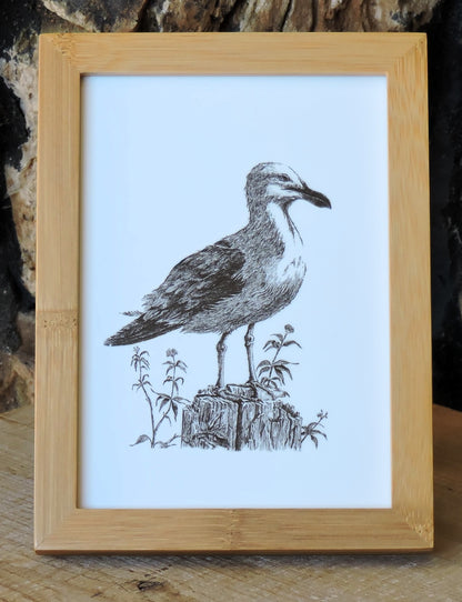 "Gull" Framed, Giclée Mini Print