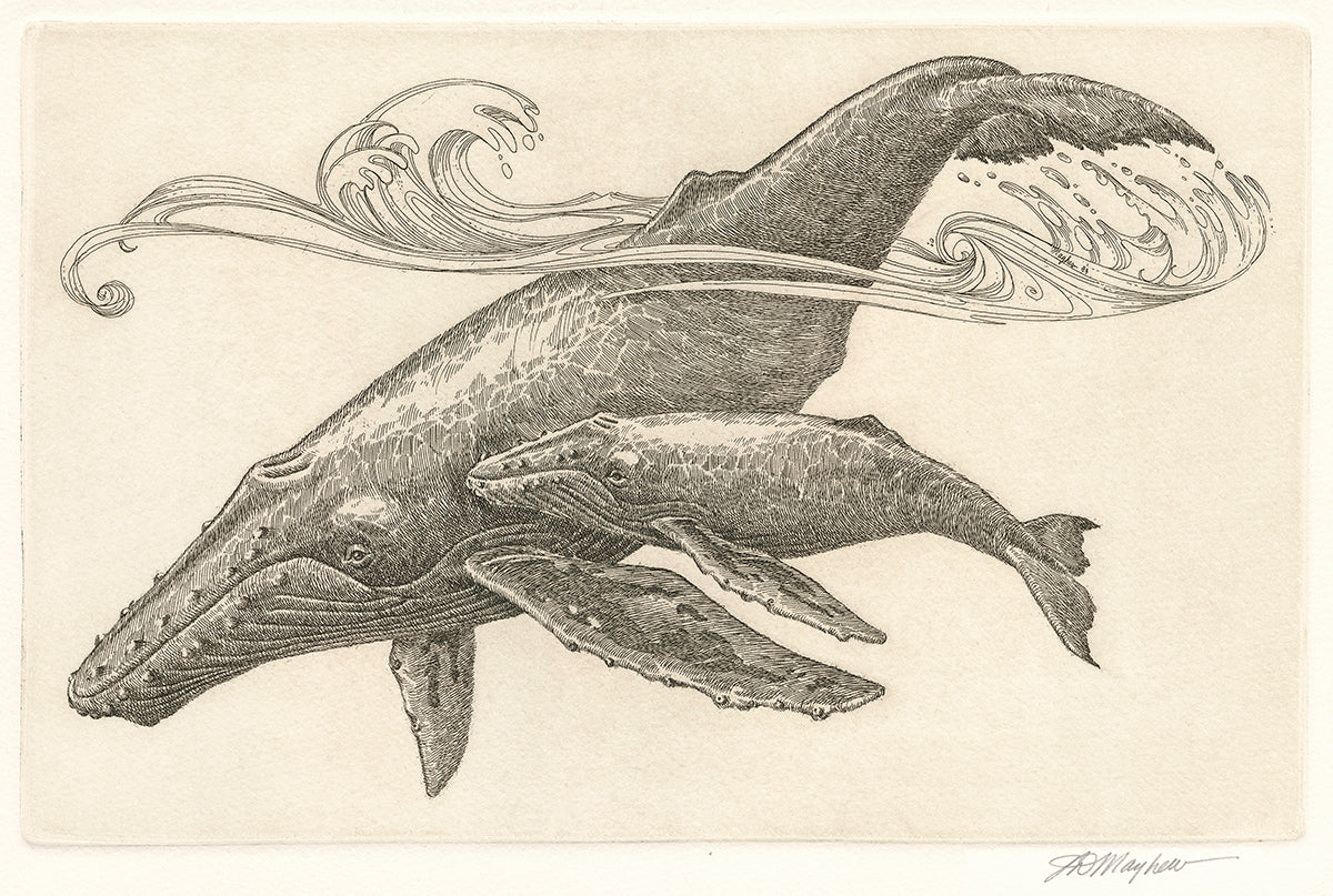 "Humpback Whale and Calf III" Framed, Giclée Mini Print