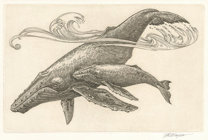 "Humpback Whale and Calf III" Framed, Giclée Mini Print