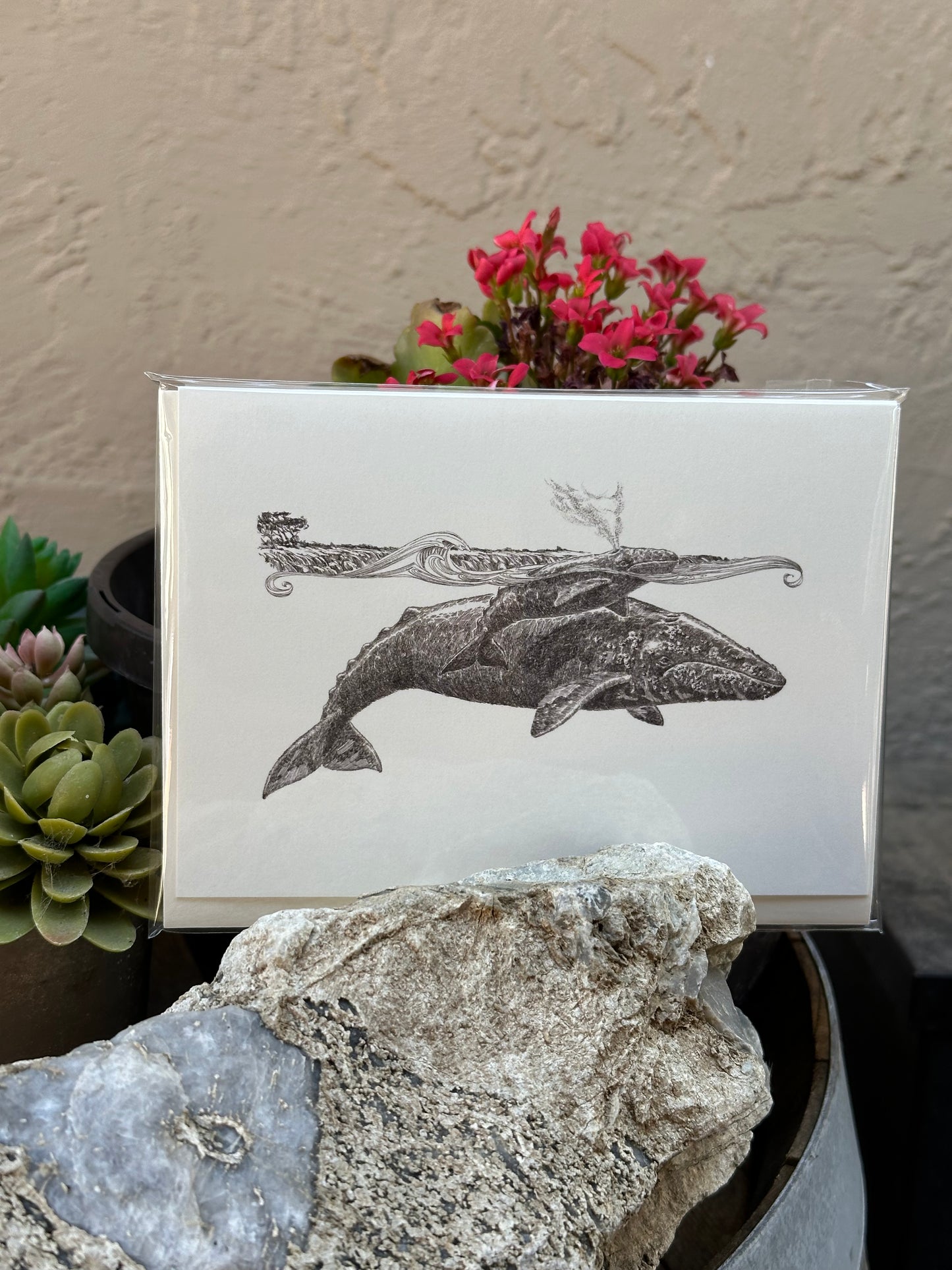 "Gray Whale and Calf III" Blank Greeting Card, cream, set of 6