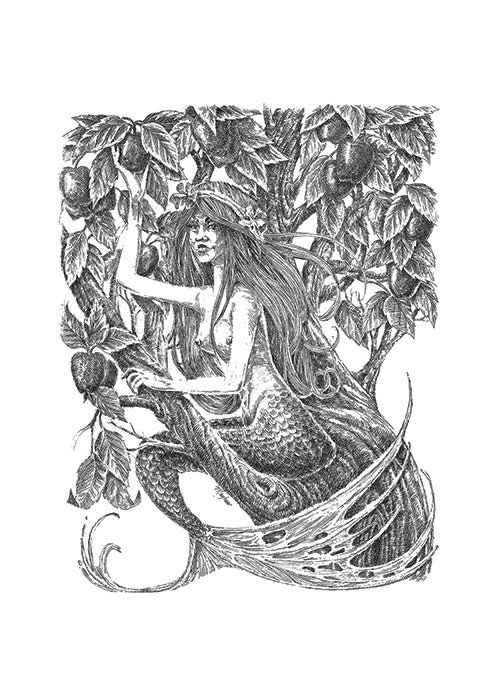 "Mermaid in an Apple Tree" Blank Greeting card, cream, set of 6