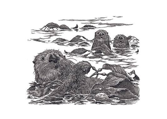 "Otters" Blank Greeting Card, white, set of 6