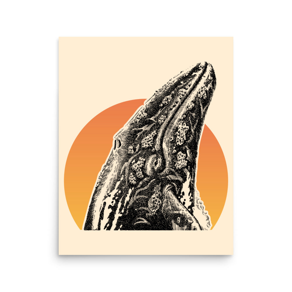 Sunset Breaching Whale Logo, Fine Art Poster, in "Papaya Whip" or White.