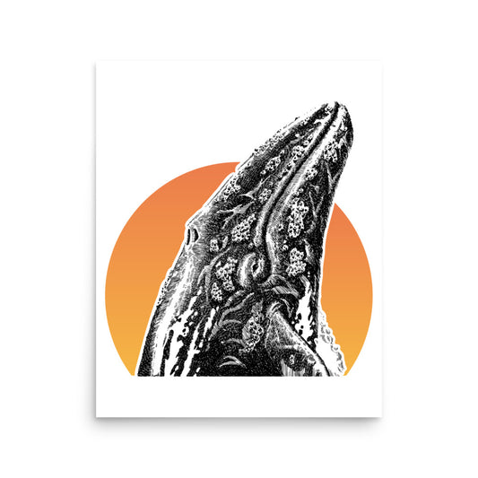 Sunset Breaching Whale Logo, Fine Art Poster, in "Papaya Whip" or White.