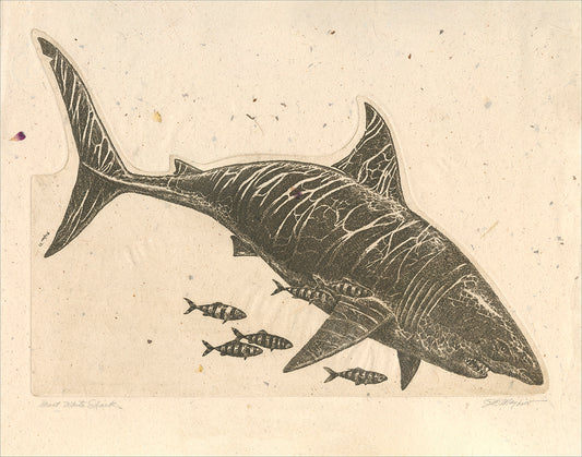 "Great White Shark" Giclée Print